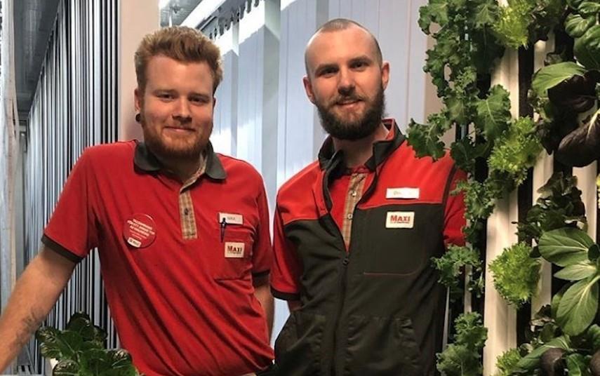 Ica In Store Farm ICA follows Ikea with salad farm first | Article | Fruitnet