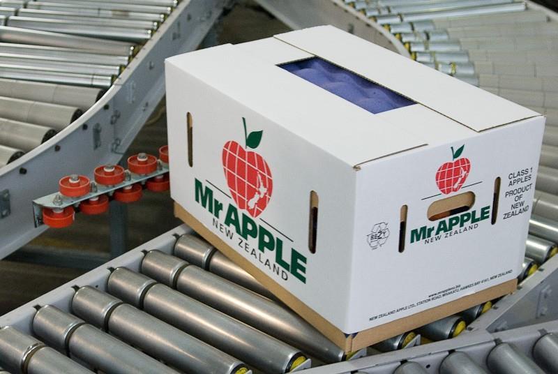 Scales Corp lifts forecast earnings Article