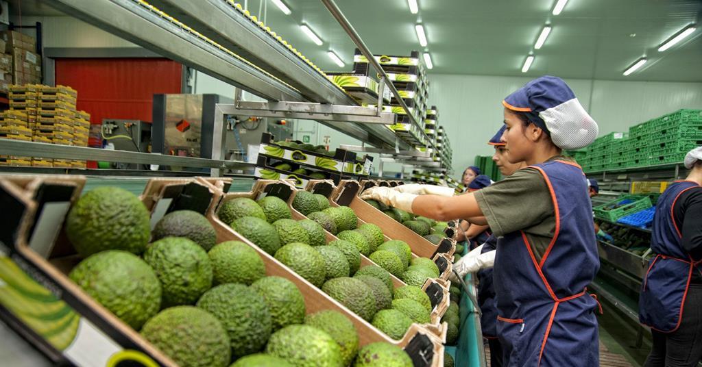 Water shortage halts Spanish avo expansion Article