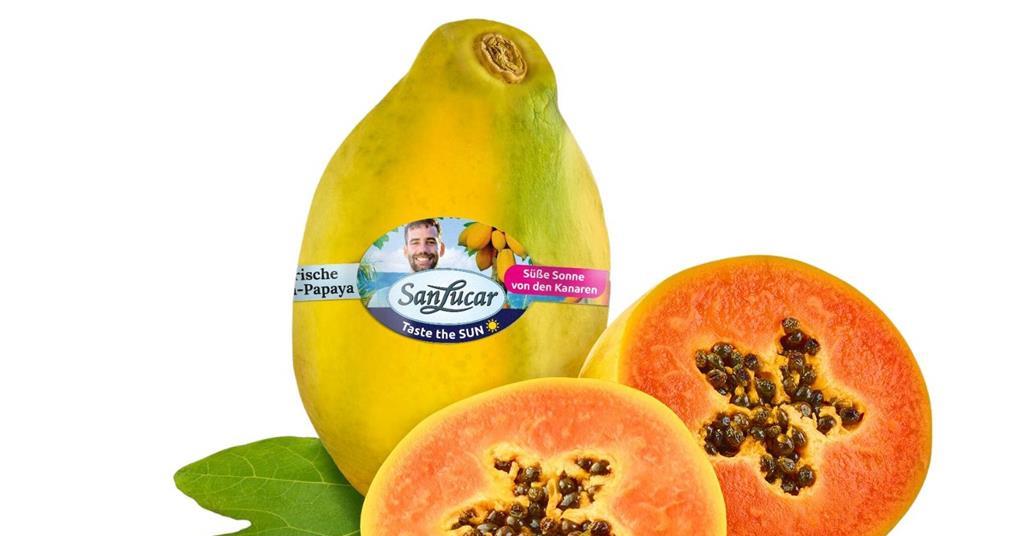 SanLucar adds Canary Island papayas to tropicals lineup Article