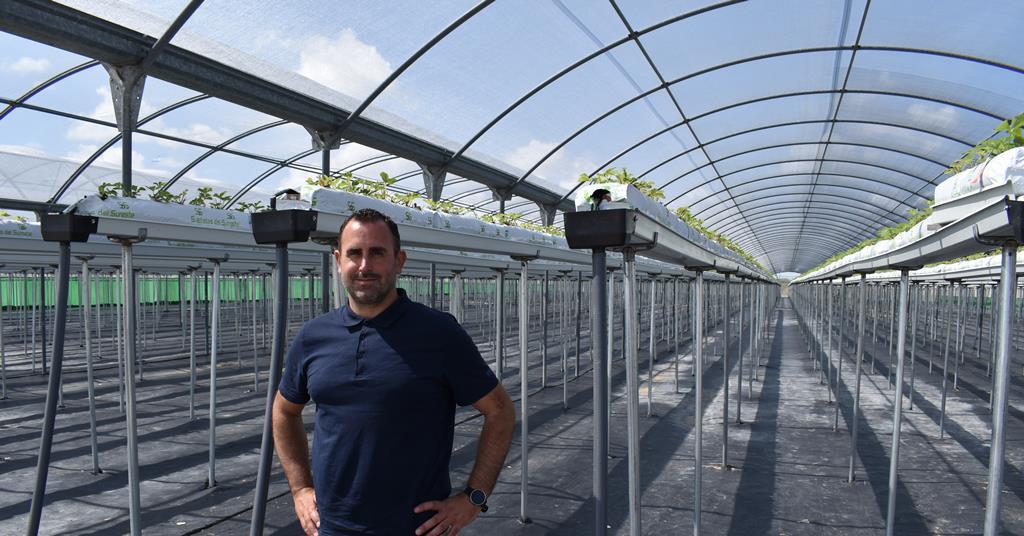 El Pinar expands nursery area to meet growing demand - Vimarsana News