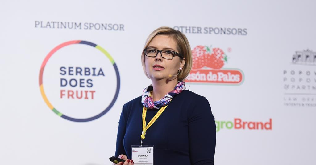 Polski biznes jagodowy stoi przed wyzwaniami |  Artykuł
