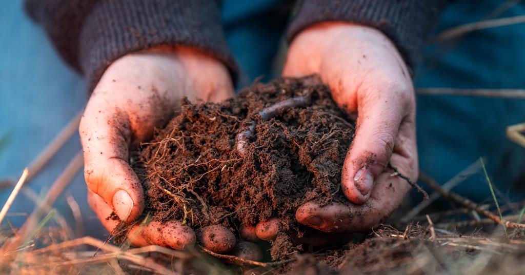 Organic support cannot be optional, says IFOAM | News | Fruitnet