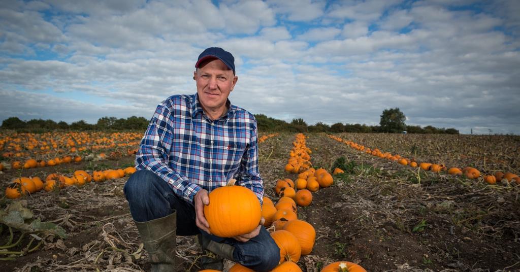 Lidl prepares for peak pumpkin sales Article