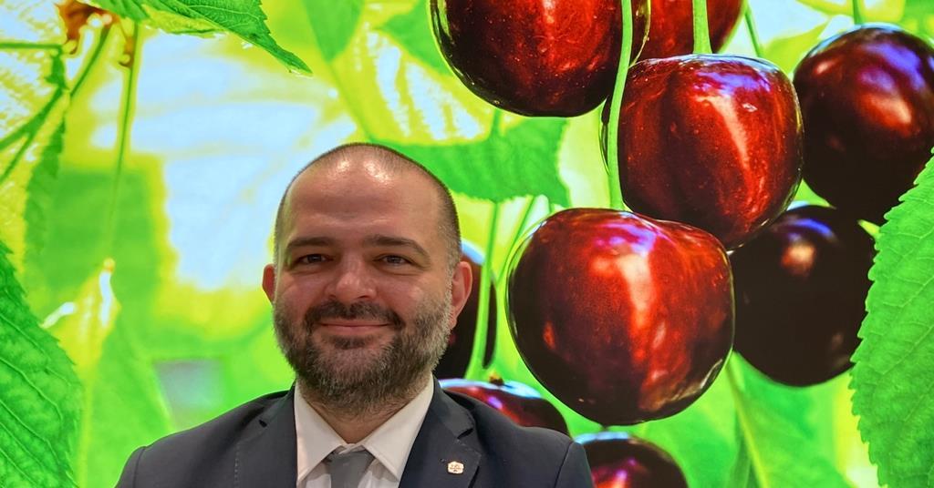 Turkey’s Alanar shifts focus to own stonefruit production