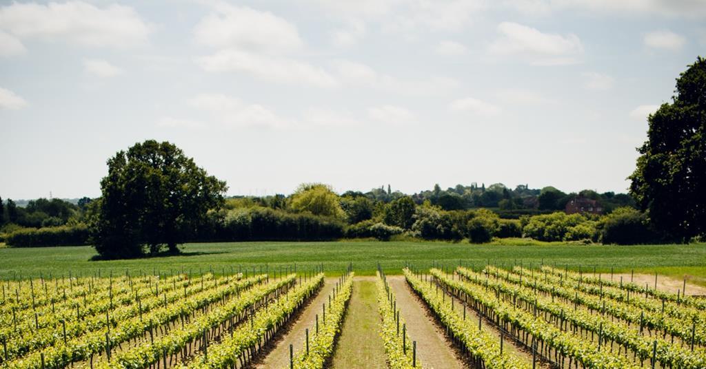 Kent wine producer wins prestigious award Article