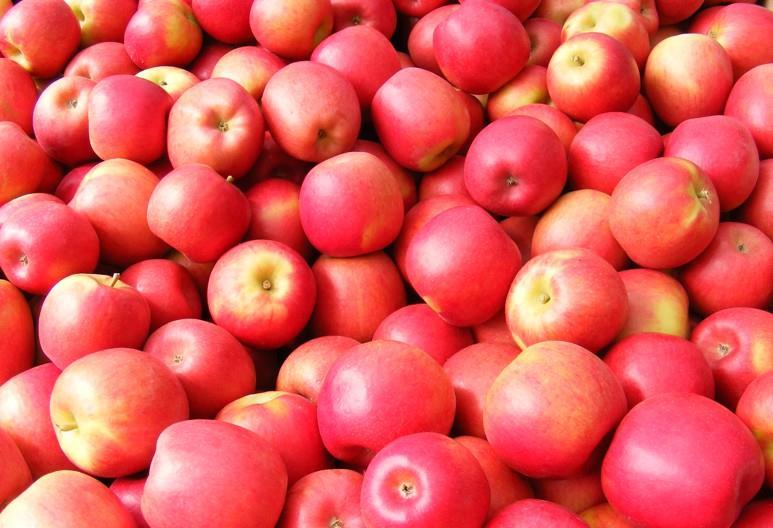 Jazz apples gaining market presence Article
