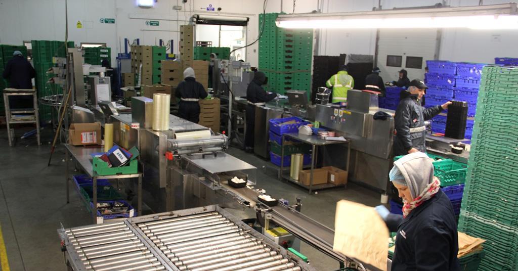 Walsh Mushrooms expands packhouse by 75 per cent Article