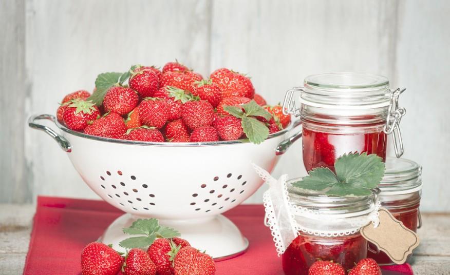 Growers extend Germany's strawberry season Article