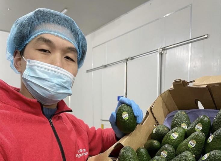 California avocados land in China Article