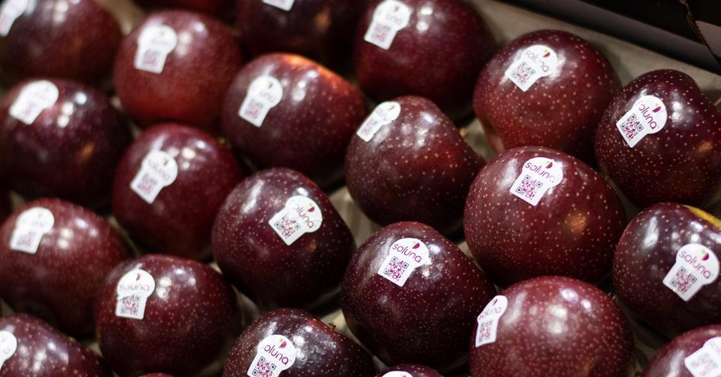 Australian Soluna apples make US debut | News | Fruitnet