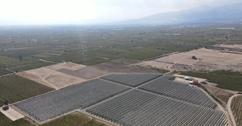 YazBerries, Türk meyvelerini haritaya koymaya çalışıyor |  durum