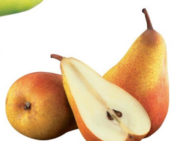 Bosc Pears  CMI Apples