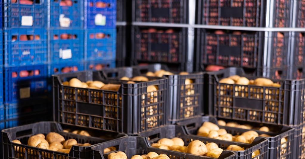 Spanish imports soared in 2022 Analysis