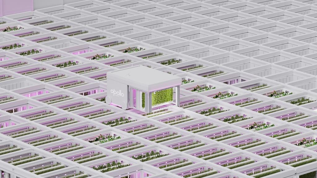 Boxing clever: art of vertical farming enters cubist phase | Features ...