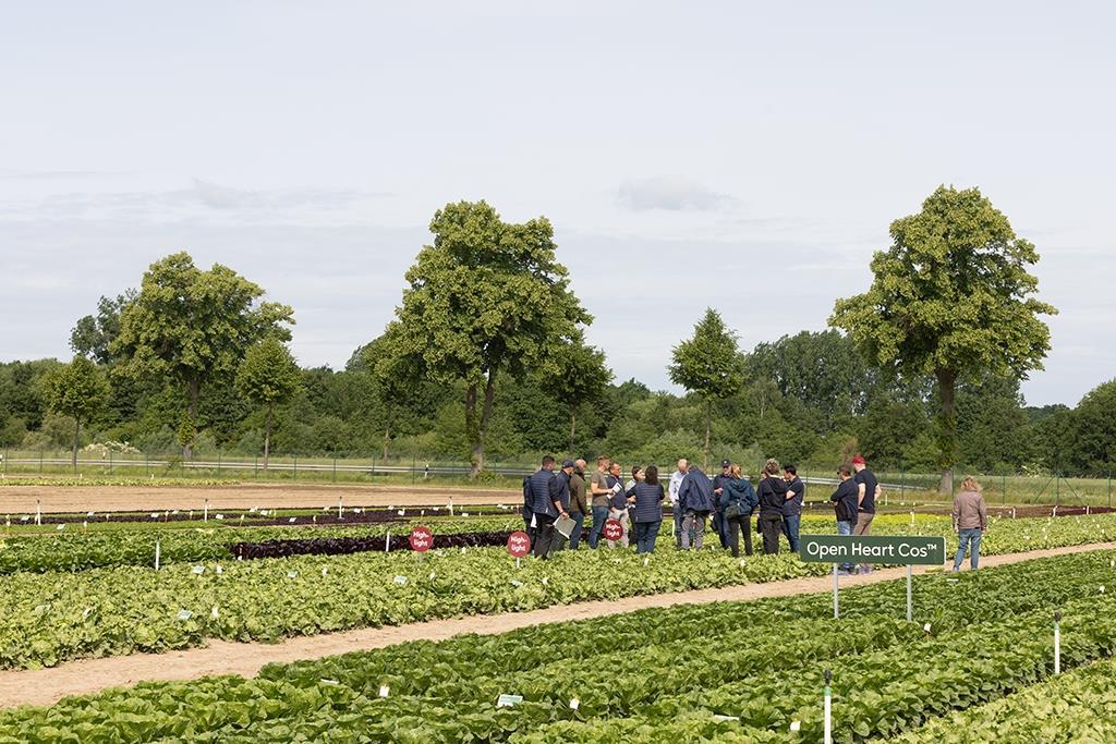 Rijk Zwaan