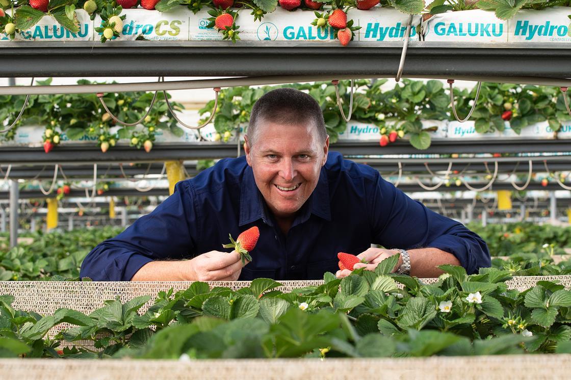 Gavin Scurr elected as chair of Australian Fresh Produce Alliance