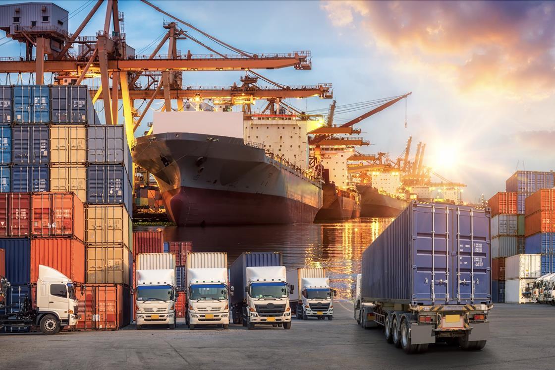 Company expands customs operations and technology despite market