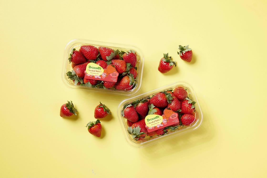 Driscoll’s Sweetest Batch strawberries get Australiawide launch