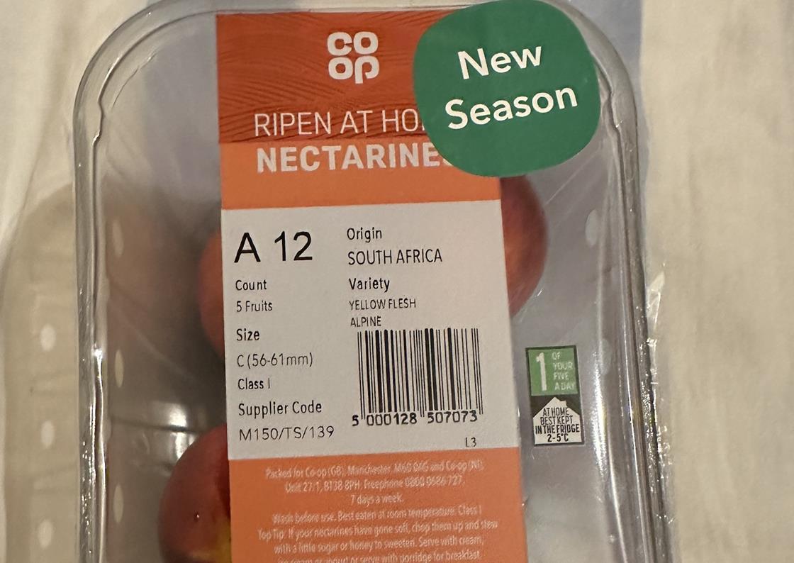 Rise in South African nectarine exports expected News