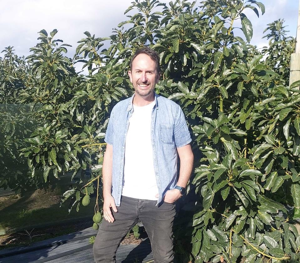 NZ Avocado Collective launches | Article | Fruitnet