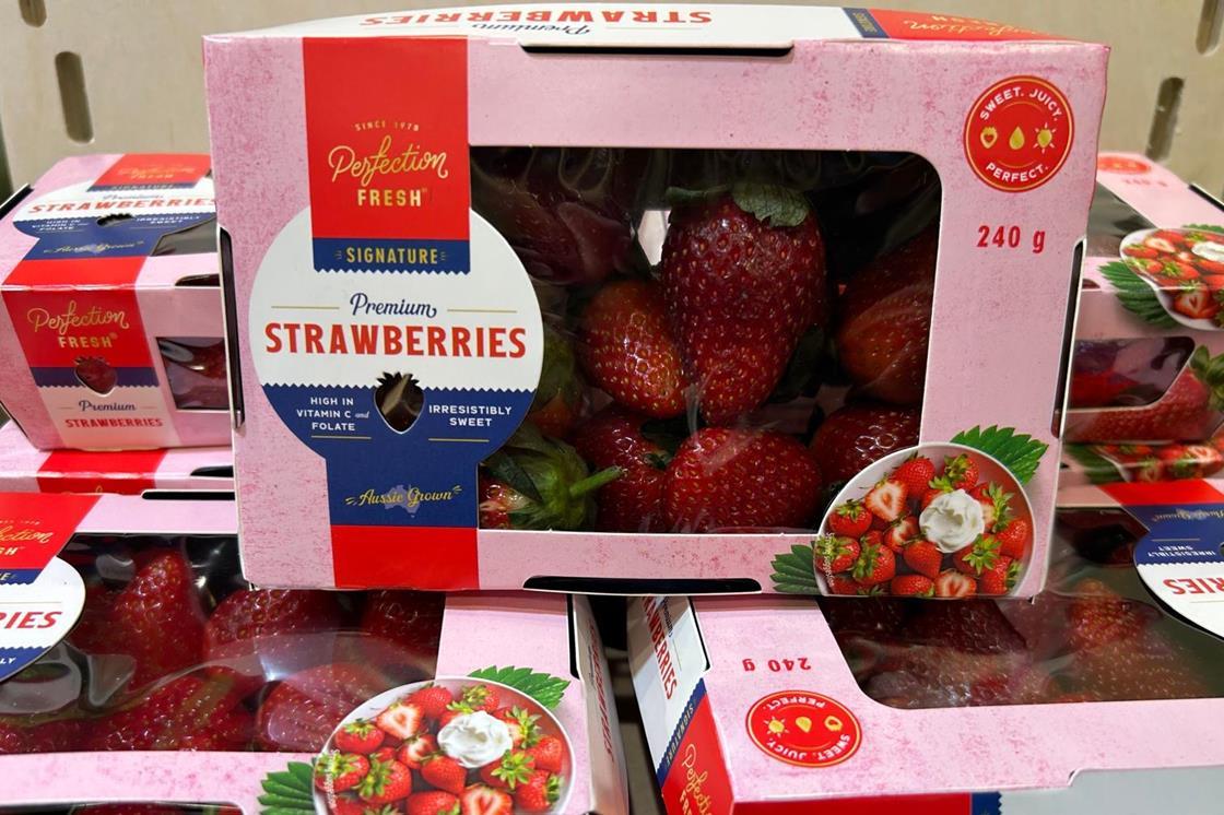 Perfection Fresh launches recyclable premium strawberry punnet | News ...