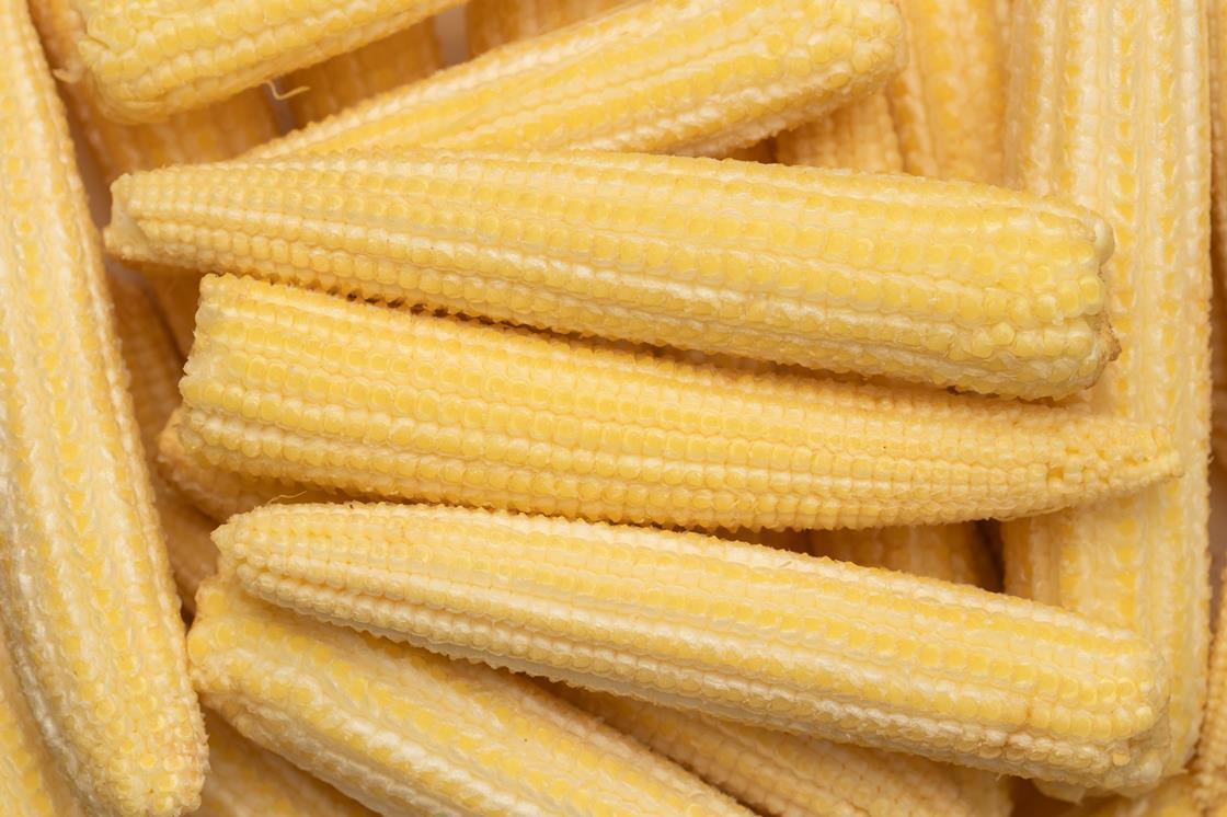 India-UK deal supports baby corn exports despite Middle East disruption ...