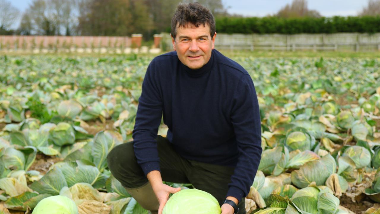 Naylor Farms unveils €38m brassica plan Article