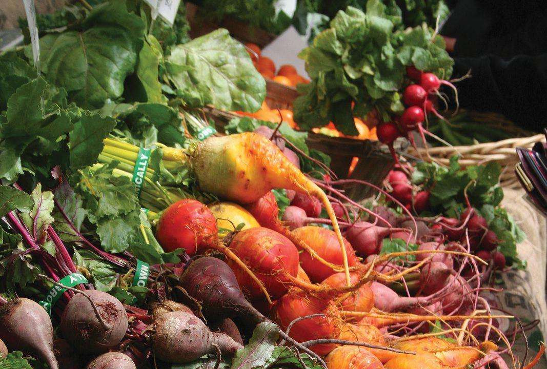 ‘Huge rise’ in organic food searches Article