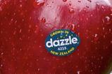 Dazzle