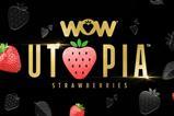 Wow Utopia strawberries