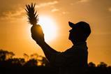 Dole Colada Royale - Roberto Young with Fruit at Sunset