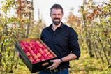 AU Red Rich Fruits Matthew Palise apples