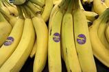 CR Kapi Costa Rica bananas