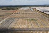 Kakuzi blueberry farm
