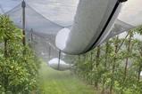 Hail Switzerland August 2026