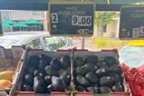 AU avocados Melbourne market