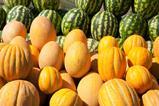 Kazakhstan melons AdobeStock_359205518