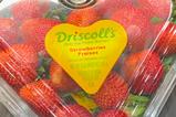 Driscolls strawberries heart clamshell punnet