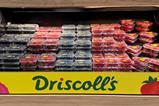 Driscolls berries range