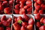 CH CREDIT Swiss Fruit Association Strawberries