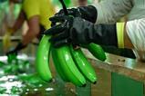 EC bananas being washed in Ecuador AEBE