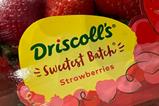 Driscolls Sweetest Batch strawberries