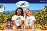 SanLucar Dreams mandarins