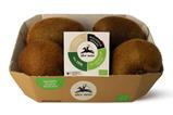 Brio - Kiwi Alce Nero