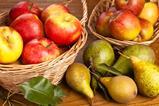 NL apples pear GroentenFruit Huis