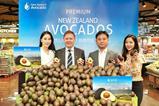 NZ Avocado press event, Homeplus, Korea.