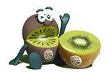Kiwi brother green