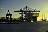 APMT at Port of Rotterdam credit Danny Cornelissen
