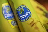 Chiquita Rainforest Alliance bananas Adobe Stock 422057620
